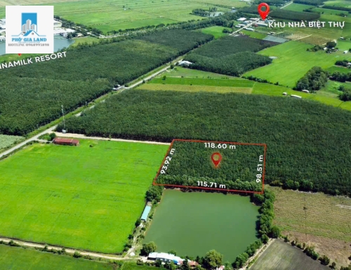 BÁN ĐẤT CAO SU HƠN 1,1 HA - GẦN VINAMILK RESORT - TÂY NINH . 
