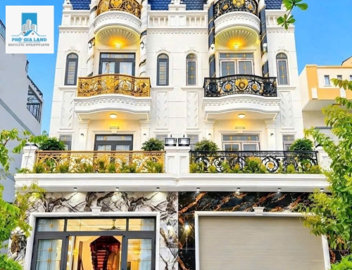 CẶP ĐÔI NHÀ PHỐ PHONG CÁCH BIỆT THỰ, CÓ THANG MÁY - P. PHÚ MỸ - QUẬN 7 . 