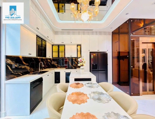 CẶP ĐÔI NHÀ PHỐ PHONG CÁCH BIỆT THỰ, CÓ THANG MÁY - P. PHÚ MỸ - QUẬN 7 . 