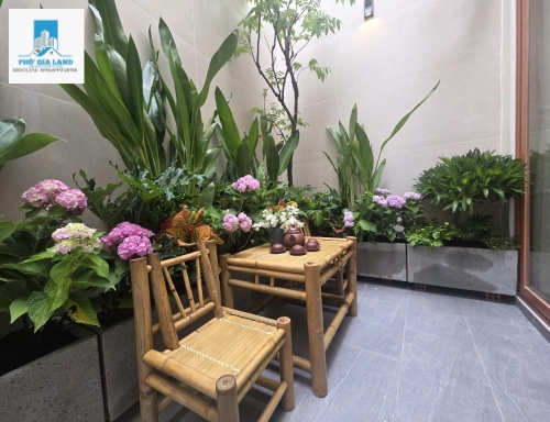 BÁN NHÀ HẺM , FULL NỘI THẤT - ĐẶNG NHỮ LÂM - NHÀ BÈ .