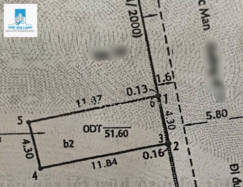 MẶT TIỀN KINH DOANH KHU LÝ PHỤC MAN - GẦN TRẠM METRO ECO GREEN, QUẬN 7 .