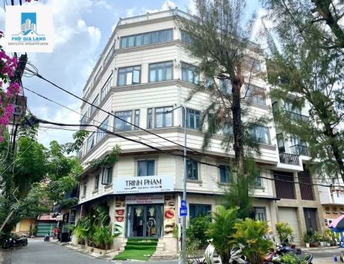 CHDV GÓC 2 MẶT TIỀN - 33 PHÒNG - DÒNG TIỀN 250TR/THÁNG - TÂN QUY ĐÔNG, QUẬN 7 . 