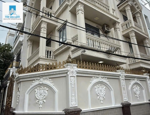CHO THUÊ BIỆT THỰ FULL NỘI THẤT - LÊ THỊ CHỢ . 