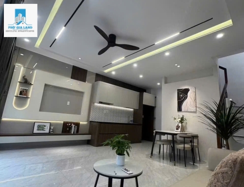 NHÀ MỚI 100% FULL NỘI THẤT - HUỲNH TẤN PHÁT , QUẬN 7 . 