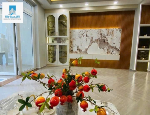 BÁN BIỆT THỰ MINI HUỲNH TẤN PHÁT, P. TÂN PHÚ, QUẬN 7 .