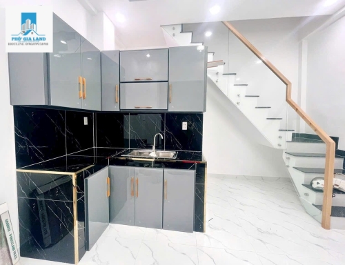 NHÀ MỚI 100% HẺM NGUYỄN THỊ XÍU, Q7