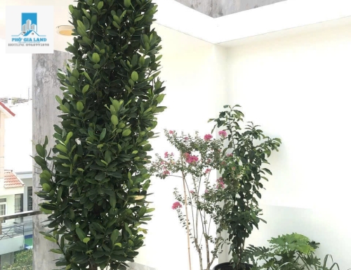 BÁN NHÀ 3 TẦNG HẺM XE HƠI , NGUYỄN THỊ THẬP , QUẬN 7 .