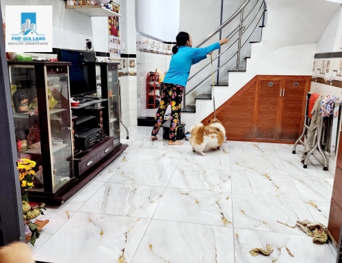 NHÀ ĐẸP NGUYỄN VĂN QUỲ PHÚ THUẬN QUẬN 