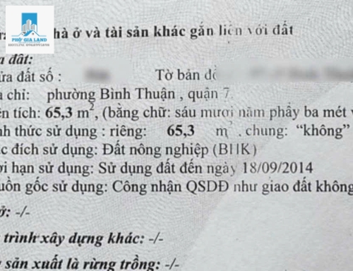 ĐẤT ĐƯỜNG NHỰA XE HƠI  , KHU LÝ PHỤC , QUẬN 7.