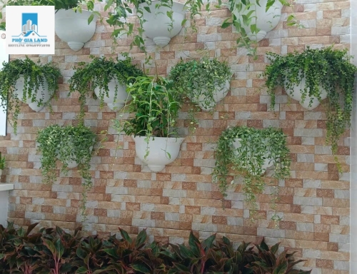 BÁN NHÀ ĐƯỜNG D1, đường rộng 20m. KDC Phú Mỹ- Phường Phú Mỹ-Q.7