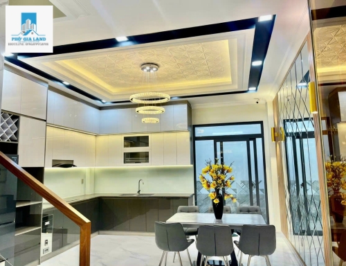 Nhà 4 tầng đường Phạm Hữu Lầu, P. Phú Mỹ, Quận 7