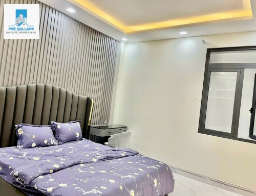 Nhà 4 tầng đường Phạm Hữu Lầu, P. Phú Mỹ, Quận 7
