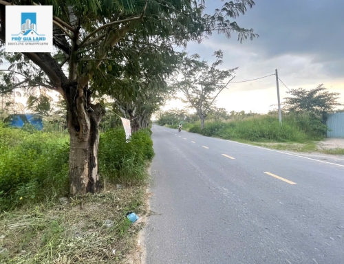 ĐẤT MẶT TIỀN ĐƯỜNG NGÔ QUANG THẮM - LONG THỚI - NHÀ BÈ . 