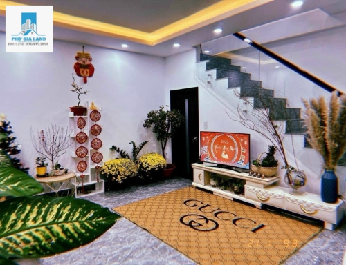  BIỆT THỰ MINI KDC LÝ PHỤC MAN- BÌNH THUẬN - QUẬN 7 