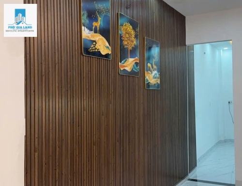 Bán nhà Đường Trần Văn Khánh, P.Tân Thuận Đông, Quận 7