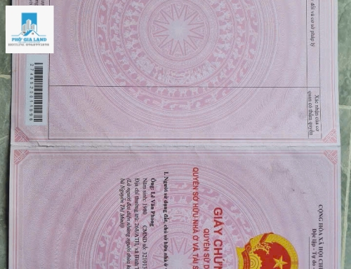 181/3A Trần Xuân Soạn, p Tân Thuận Tây, quận 7