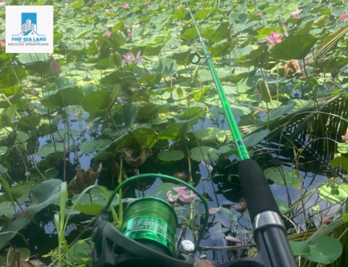 NHÀ VƯỜN NGHỈ DƯỠNG GẦN BIỂN – GIÁ CỰC MỀM CHỈ 3 TỶ 6 🌊
