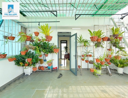  Chính chủ bán nhanh – chỉ 8.5 tỷ TL