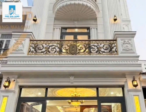 🏰 BIỆT THỰ TÂN CỔ ĐIỂN – GIÁP PHÚ MỸ HƯNG