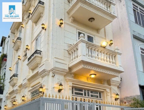 BIỆT THỰ MINI - ĐƯỜNG TRƯỚC NHÀ 12M , QUẬN 7 .