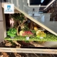 SIÊU PHẨM LUXURY – SMART HOME – KDC GREEN RIVERSIDE, NHÀ BÈ .