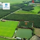BÁN ĐẤT CAO SU HƠN 1,1 HA - GẦN VINAMILK RESORT - TÂY NINH . 