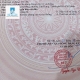 NHÀ HẺM XE HƠI - GẦN NGUYỄN THỊ THẬP - QUẬN 7 . 