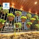 NHÀ VƯỜN GÓC 2 MẶT THOÁNG – ĐẸP NHƯ RESORT MINI - NHÀ BÈ .