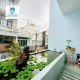 NHÀ MẶT TIỀN ĐƯỜNG SỐ CHỢ TÂN MỸ, P. TÂN QUY, QUẬN 7 .