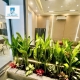 NHÀ VƯỜN GÓC 2 MẶT THOÁNG – HẺM 2873 HUỲNH TẤN PHÁT
