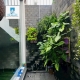 VILLA KHU TẤN TRƯỜNG QUẬN 7 - CHỈ 23x tỷ